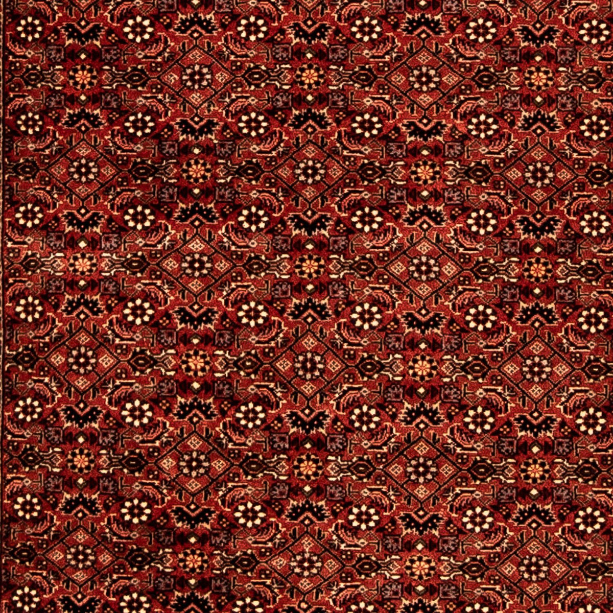 Alfombra de pasillo Alfombra persa - Bidjar - 293 x 84 cm - rojo oscuro