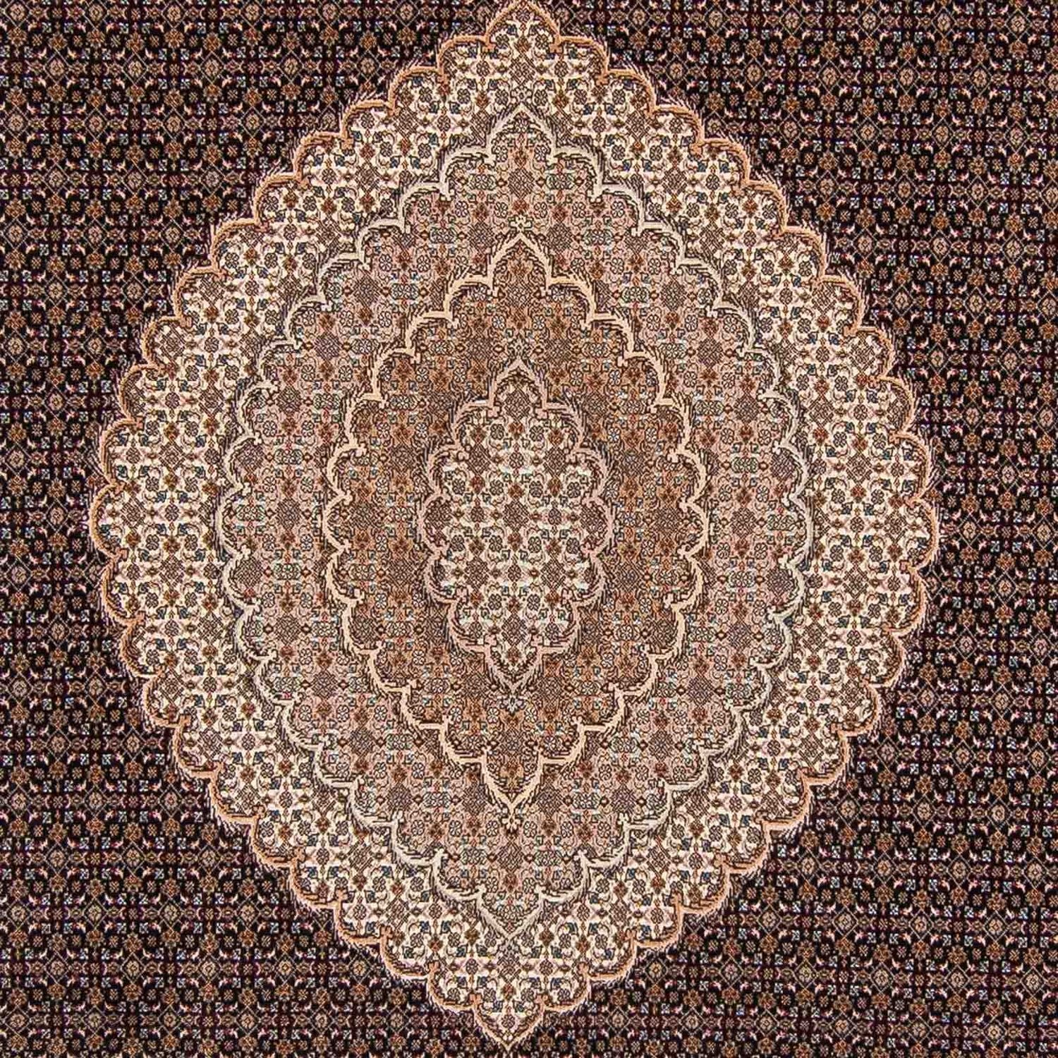Alfombra persa - Tabriz - 354 x 253 cm - marrón claro