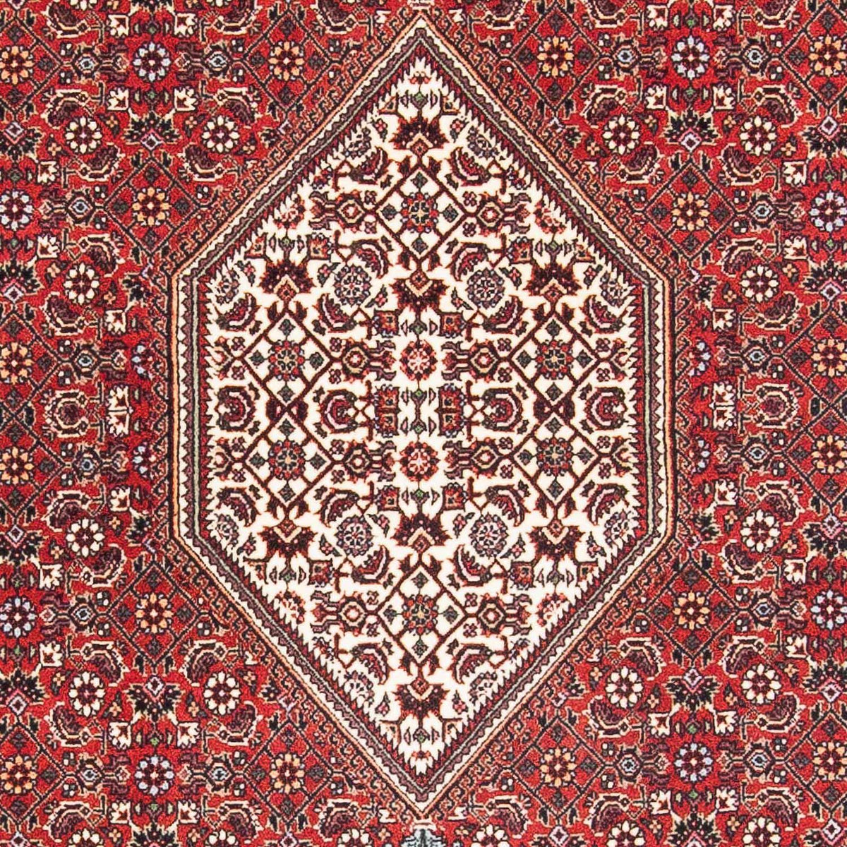 Alfombra persa - Bidjar - 174 x 112 cm - rojo claro