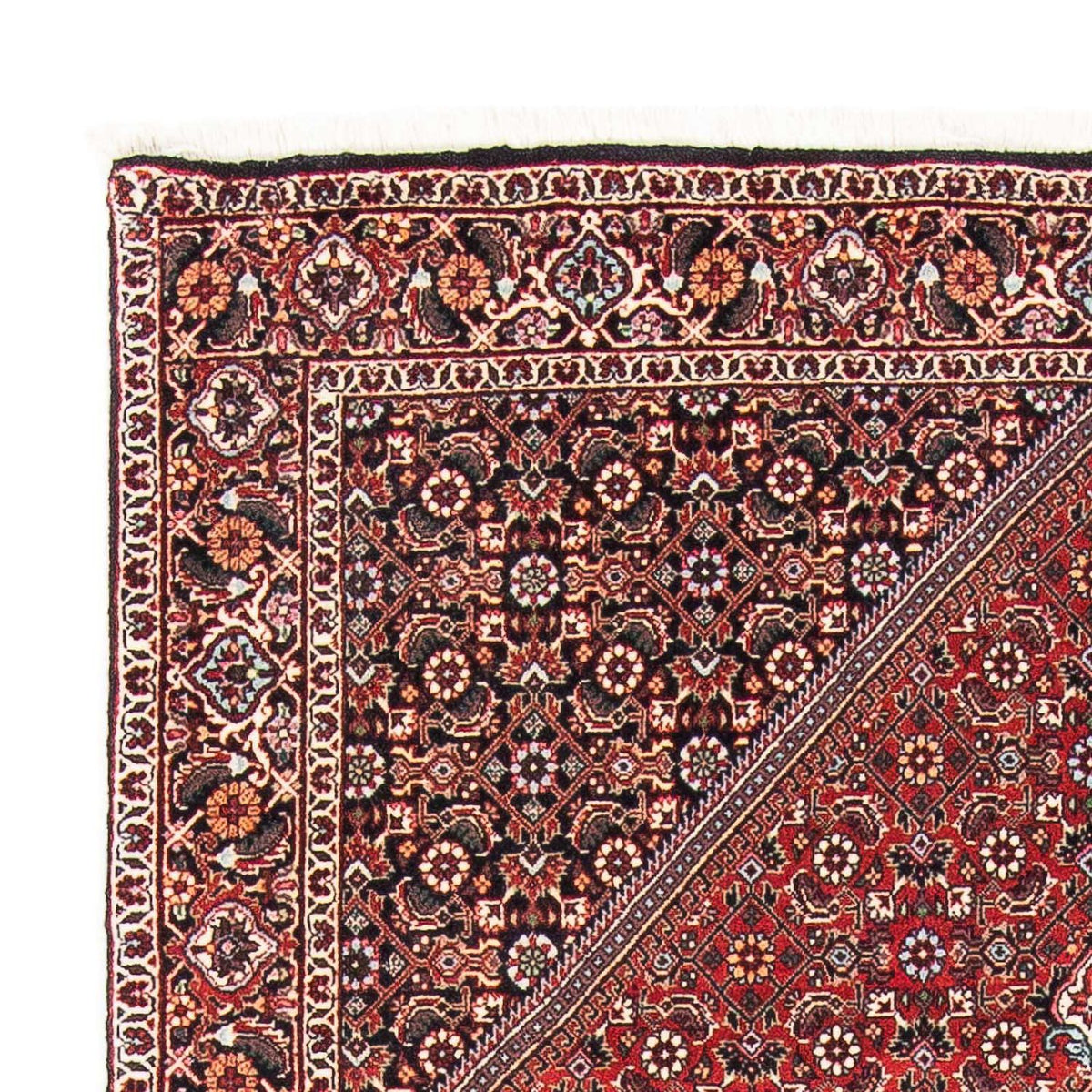 Alfombra persa - Bidjar - 174 x 112 cm - rojo claro