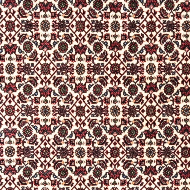 Alfombra persa - Bidjar - 296 x 204 cm - beige