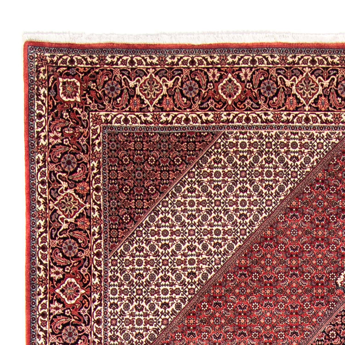 Bidjar Alfombra 248x355cm - Alfombra persa