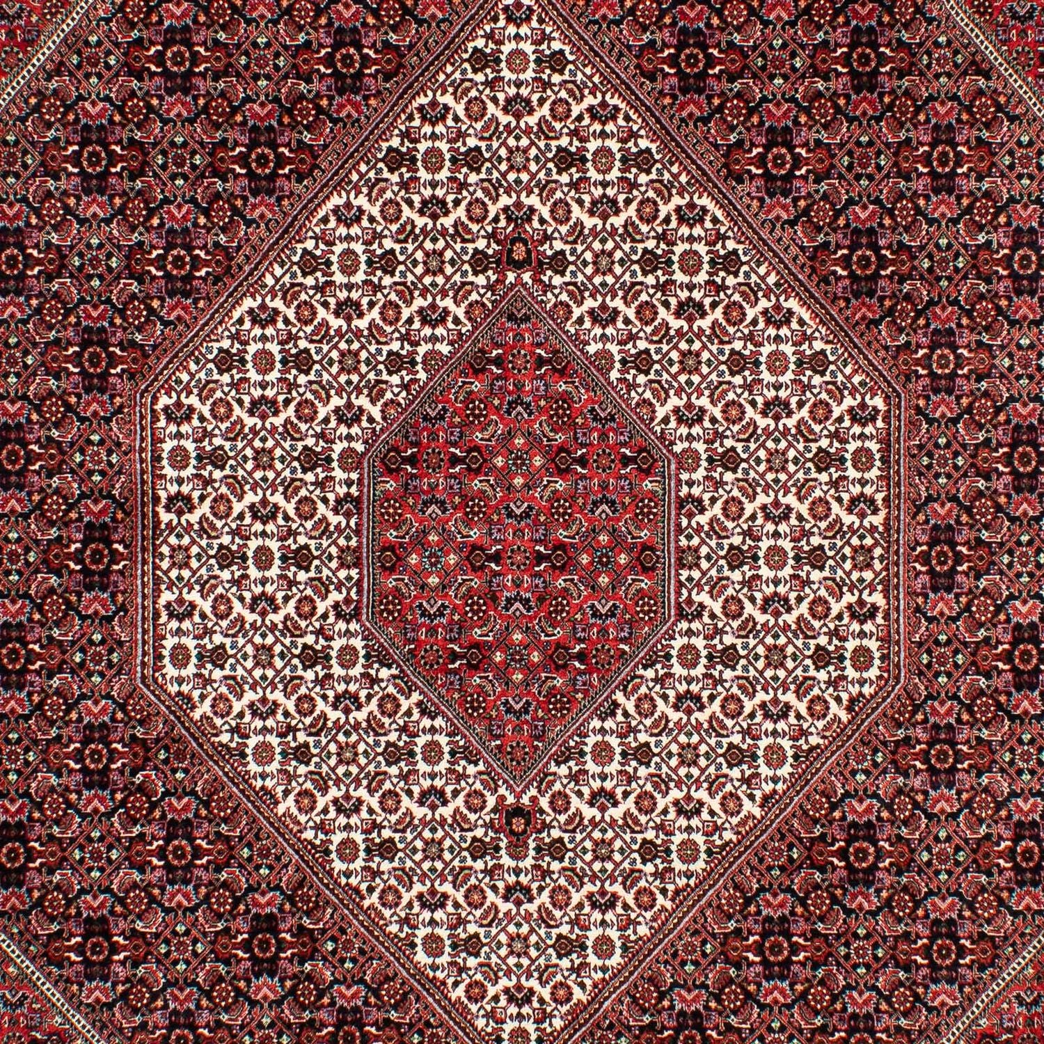 Alfombra persa - Bidjar - 308 x 202 cm - rojo claro