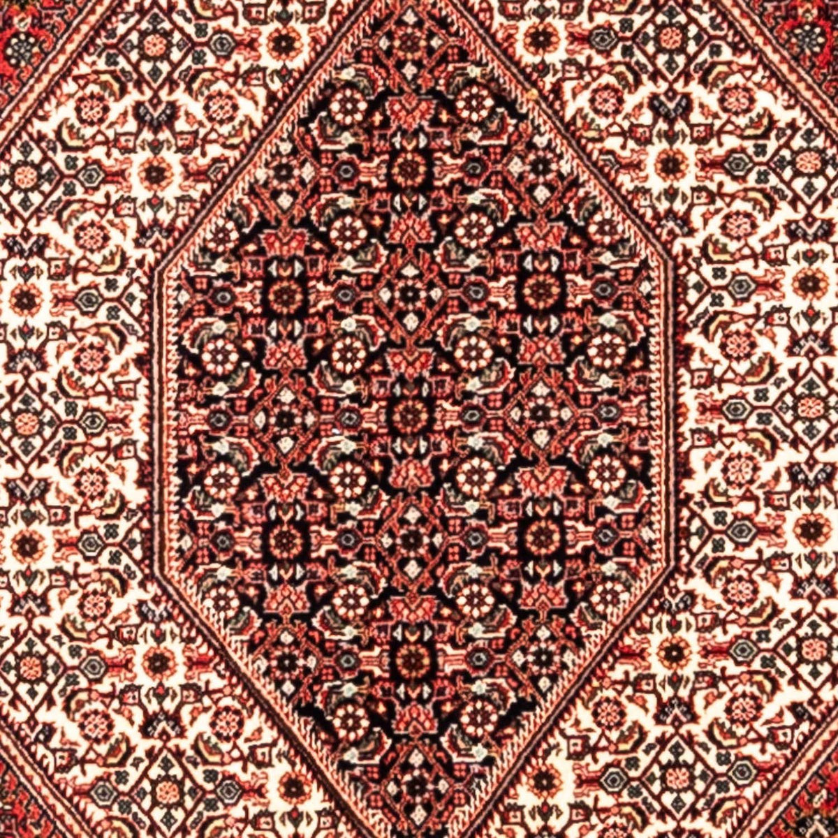 Alfombra persa - Bidjar - 285 x 195 cm - rojo