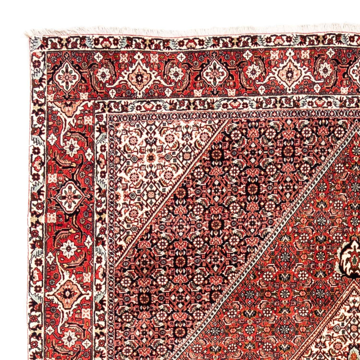 Alfombra persa - Bidjar - 285 x 195 cm - rojo