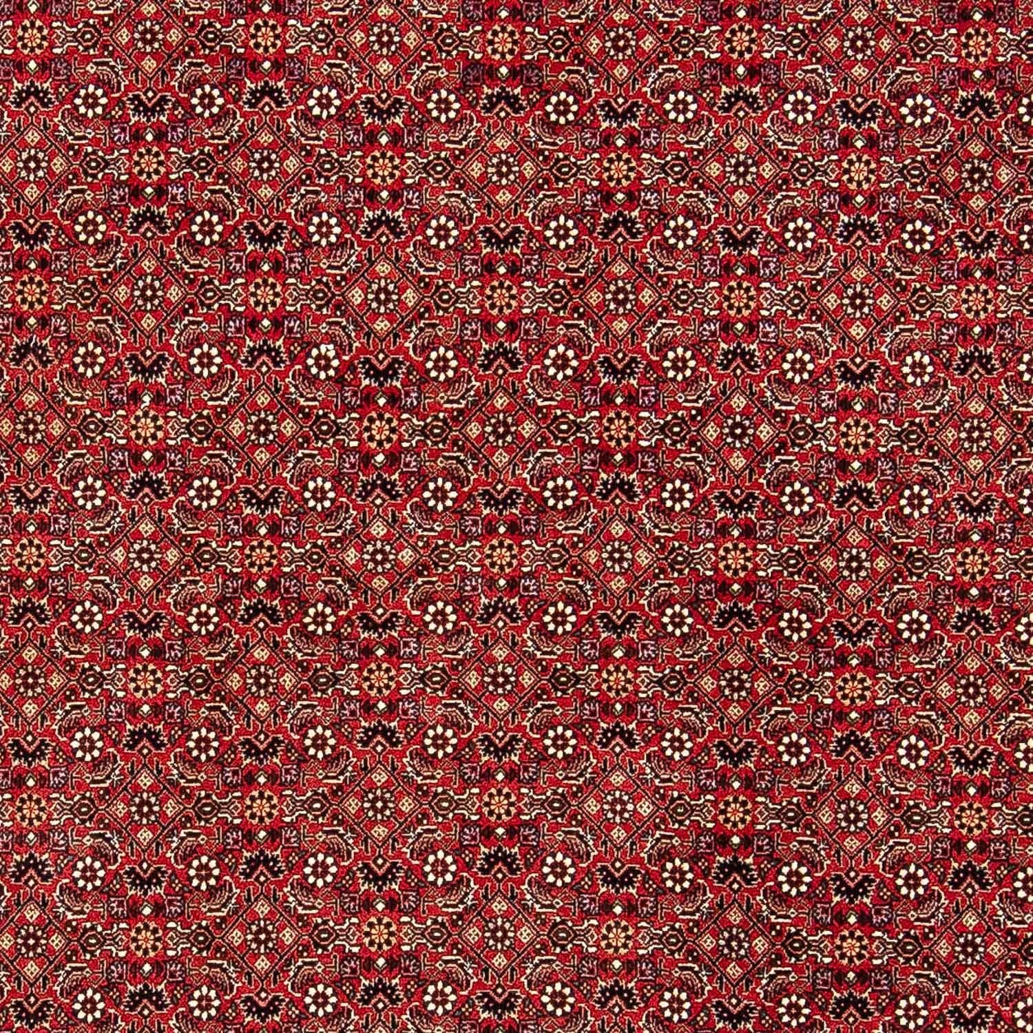 Alfombra persa - Bidjar - 248 x 174 cm - rojo