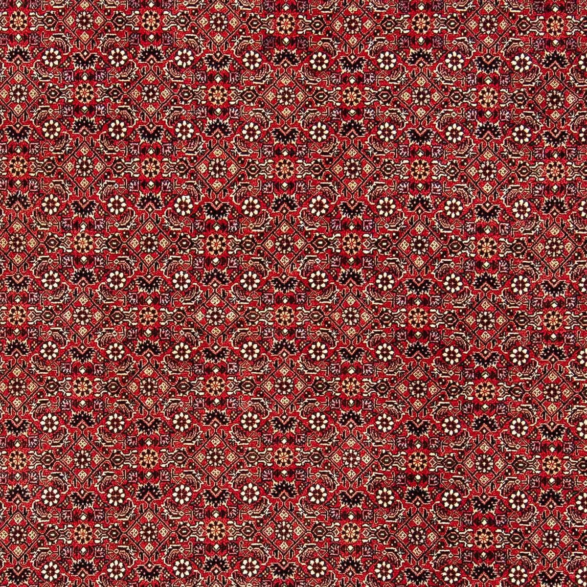Alfombra persa - Bidjar - 248 x 174 cm - rojo