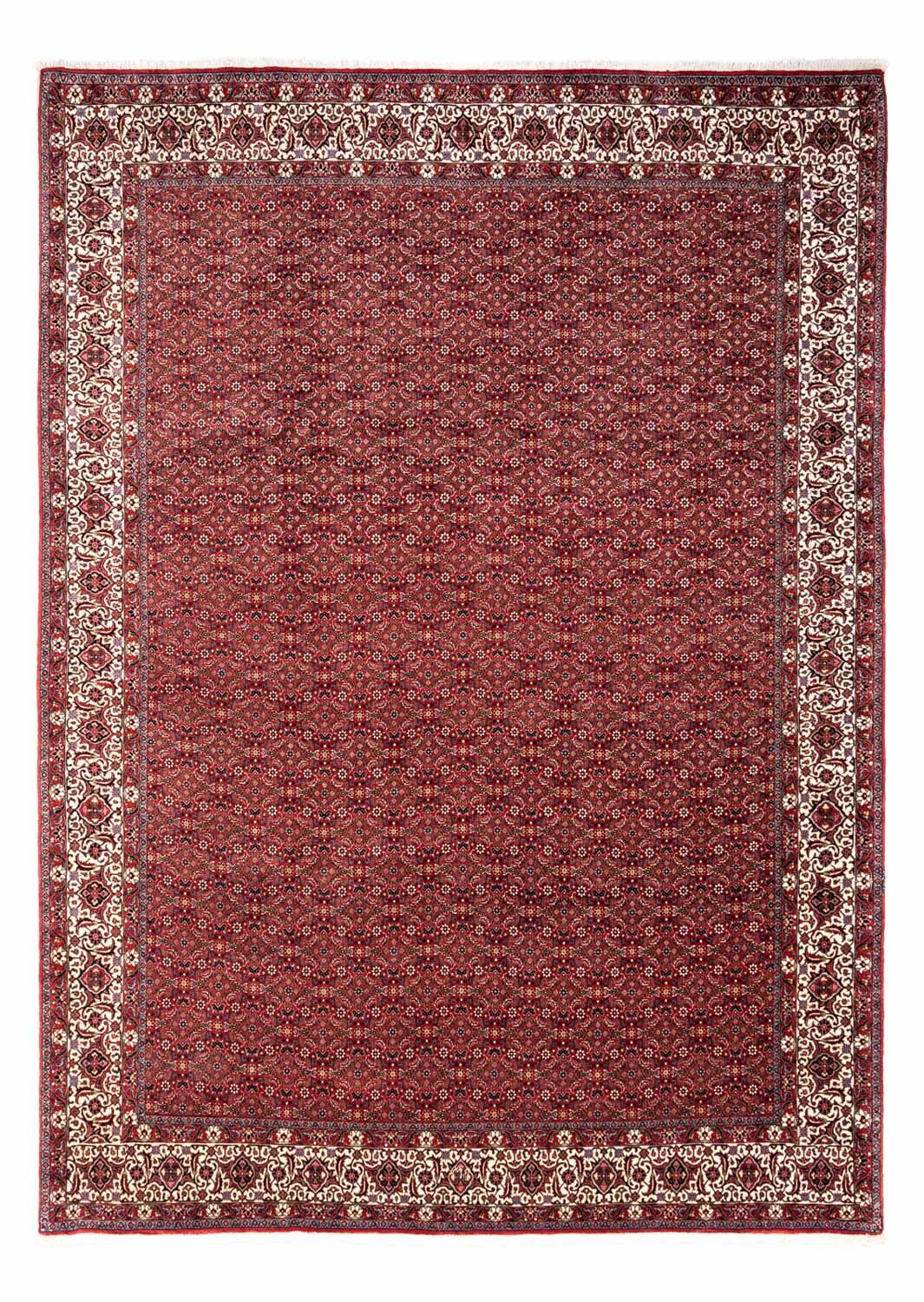 Alfombra persa - Bidjar - 340 x 252 cm - rojo