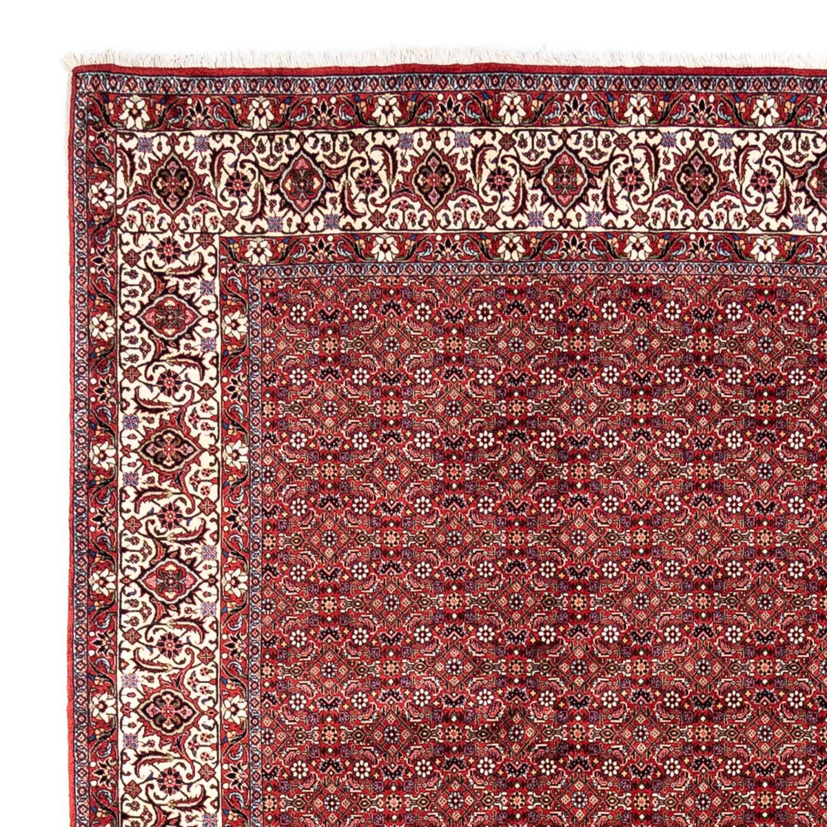 Alfombra persa - Bidjar - 340 x 252 cm - rojo