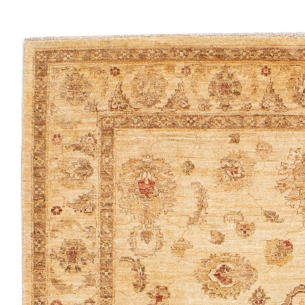 Alfombra Ziegler 168x229cm - Alfombra oriental
