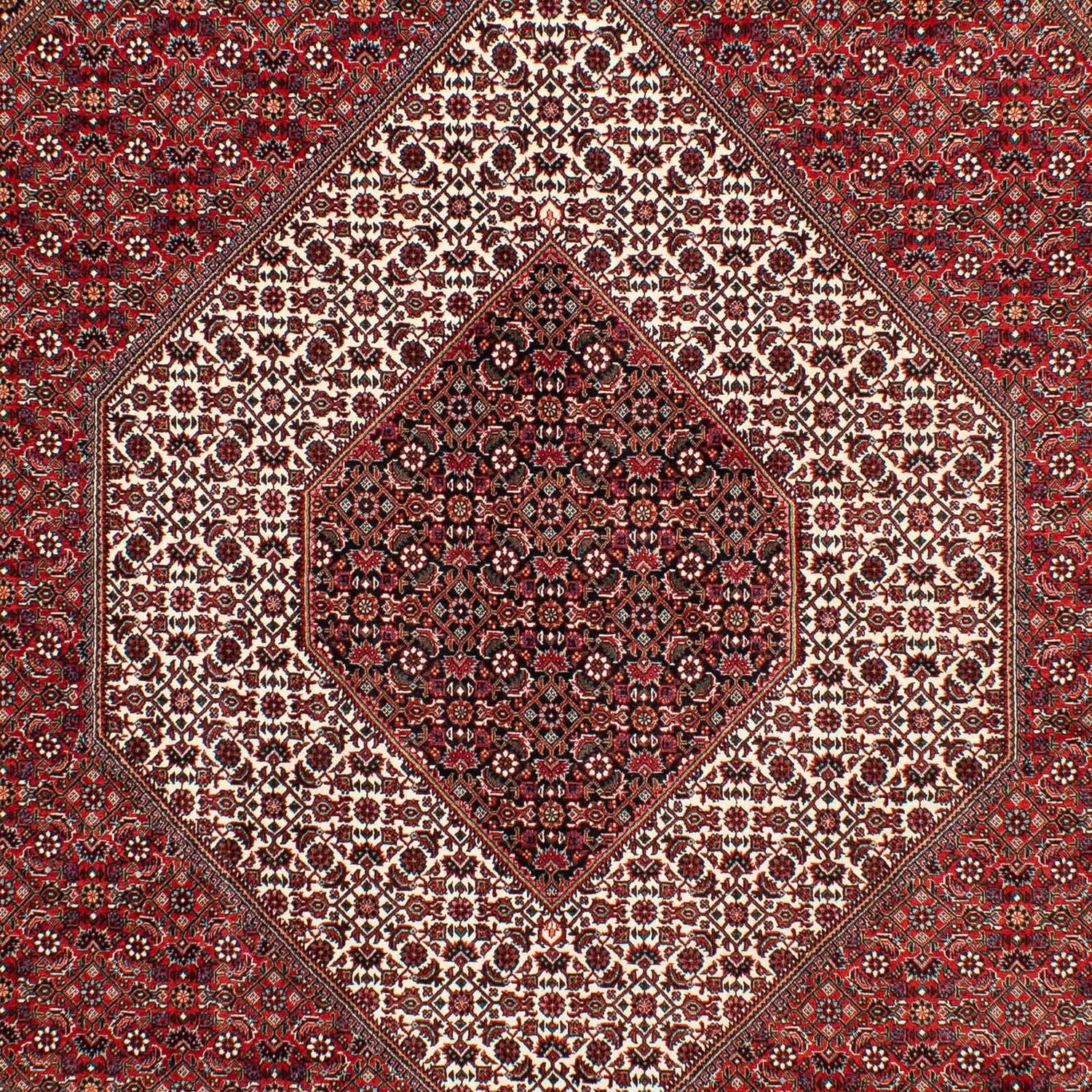 Alfombra persa - Bidjar - 302 x 203 cm - rojo oscuro