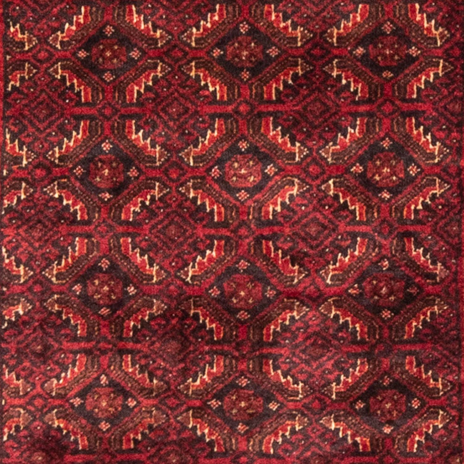 Alfombra de pasillo Alfombra Belutsch - 216 x 107 cm - rojo oscuro
