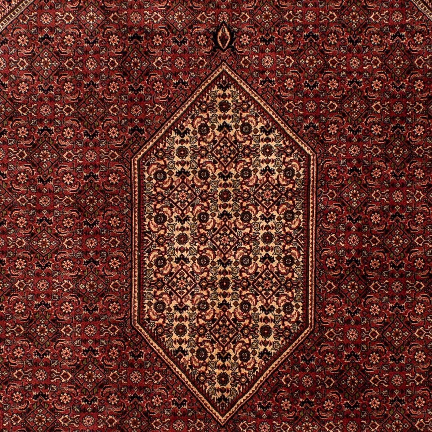 Alfombra persa - Bidjar - 293 x 200 cm - marrón