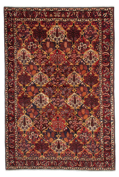 Bakhtiari Alfombra 211x305cm - Alfombra persa