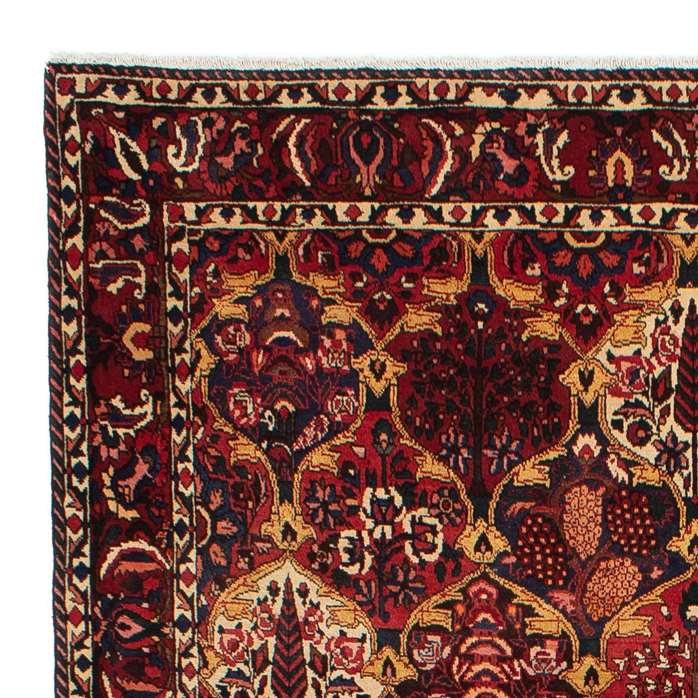 Bakhtiari Alfombra 305x211cm - Alfombra persa