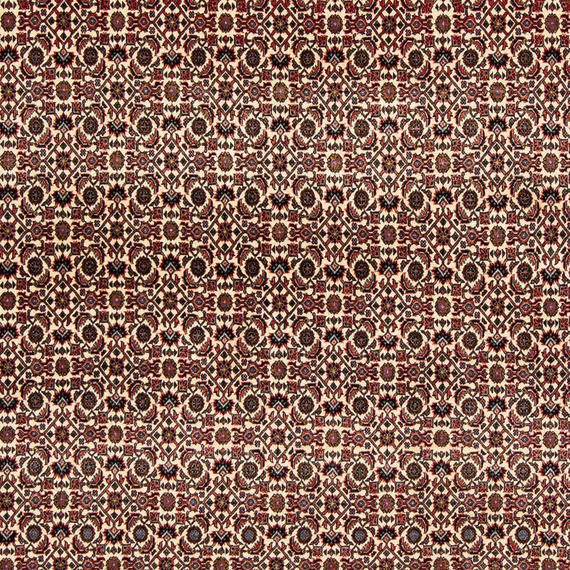 Alfombra persa - Bidjar cuadrado  - 204 x 201 cm - rojo oscuro