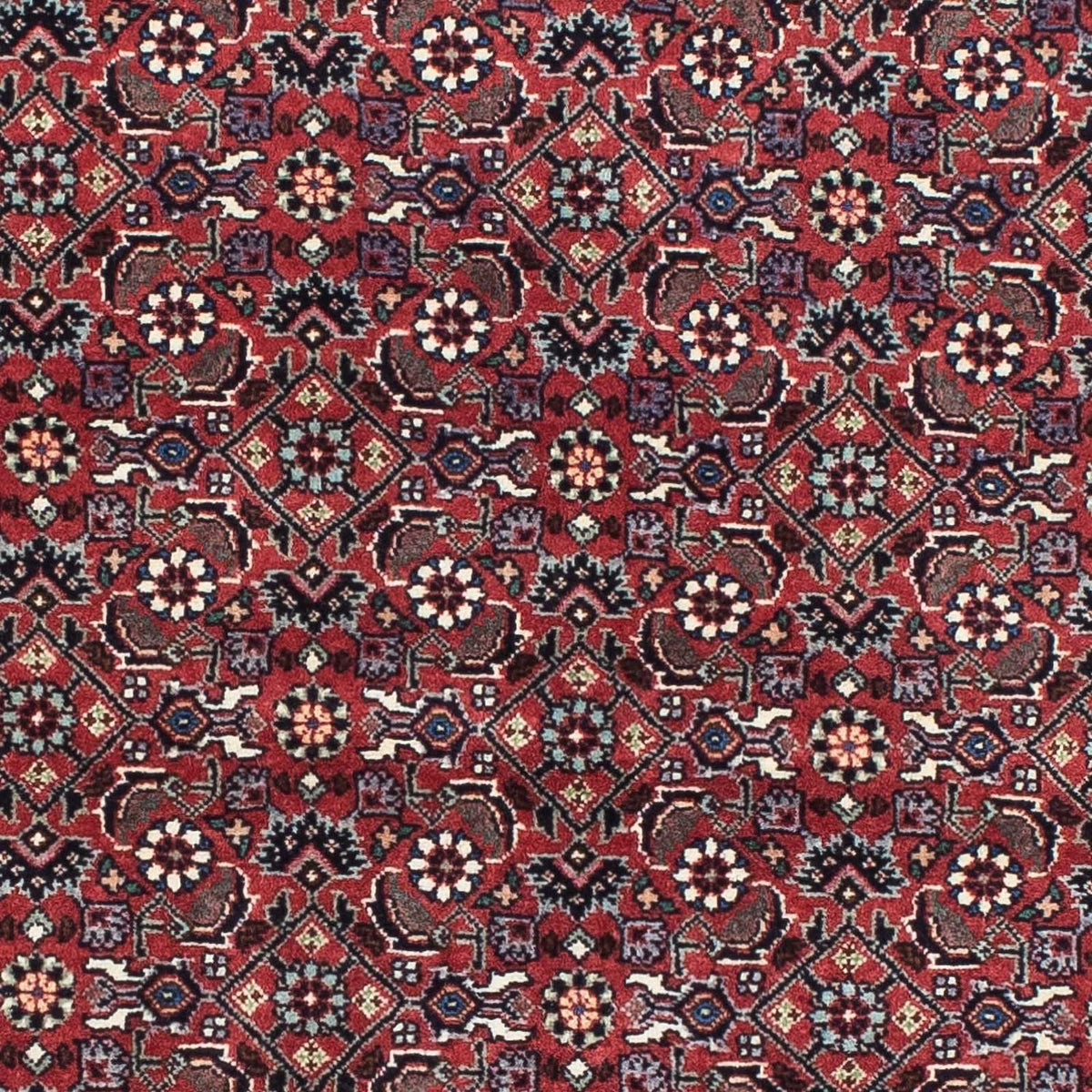 Alfombra persa - Bidjar - 193 x 176 cm - rojo