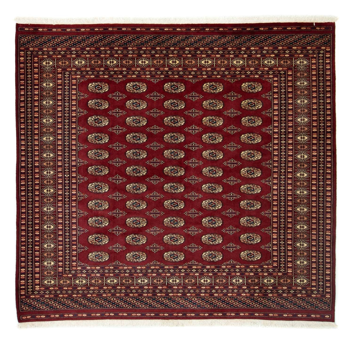 Alfombra afgana - Bukhara cuadrado  - 205 x 193 cm - rojo