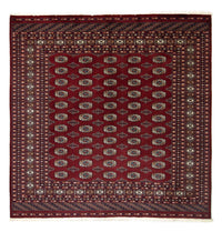 Alfombra afgana - Bukhara cuadrado  - 203 x 199 cm - rojo