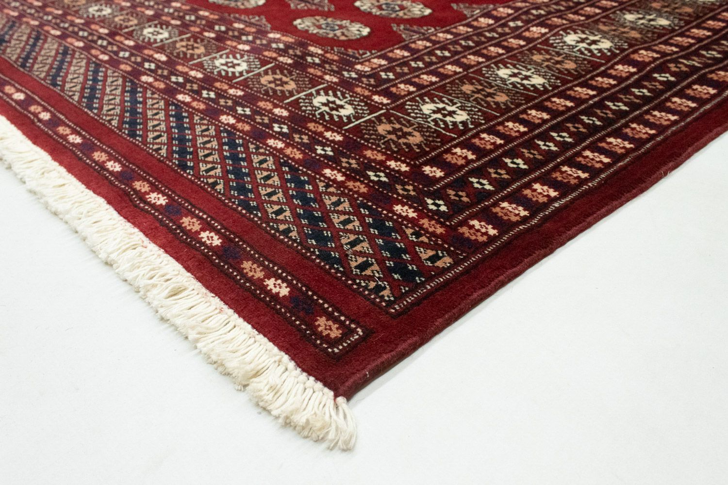 Alfombra afgana - Bukhara cuadrado  - 203 x 199 cm - rojo