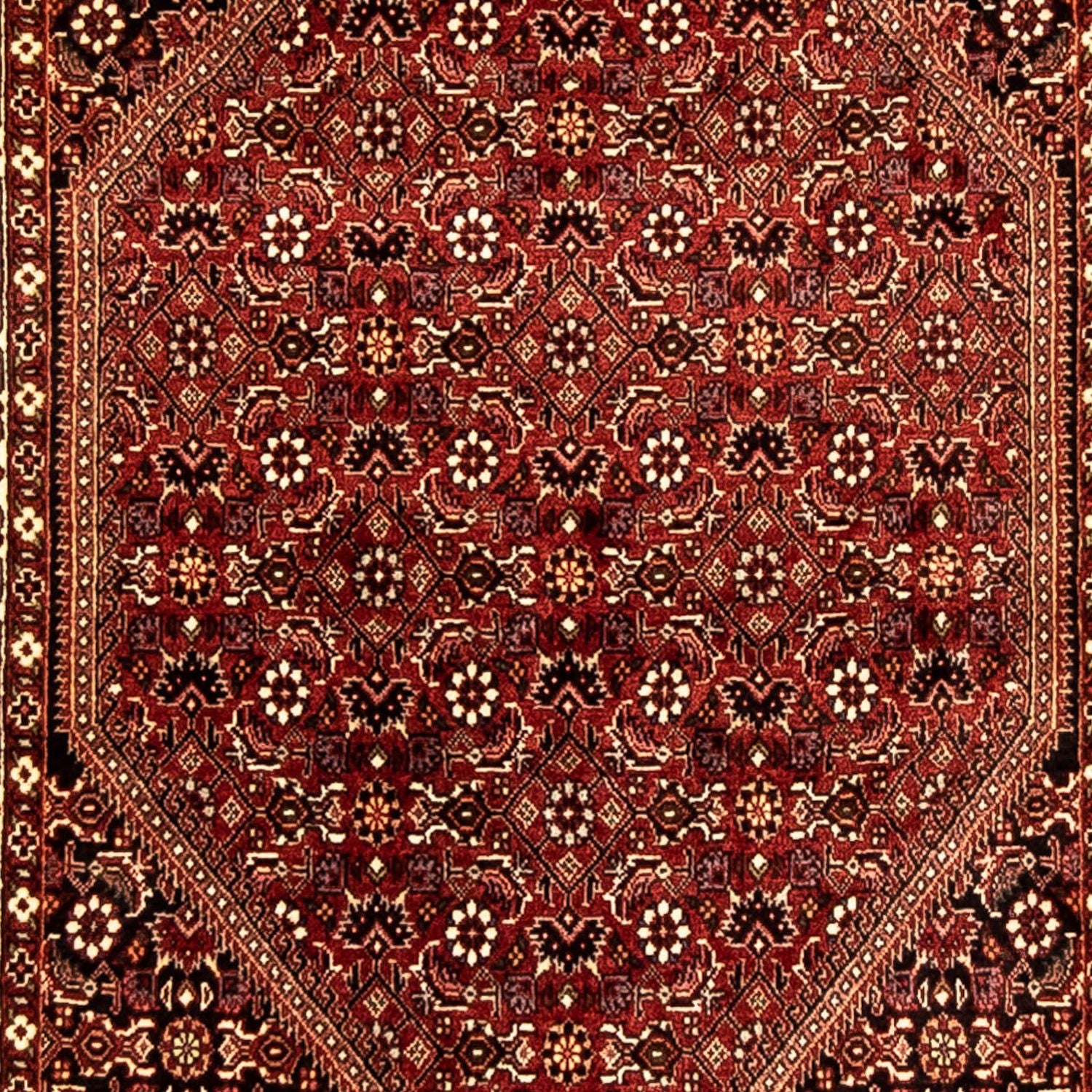 Alfombra de pasillo Alfombra persa - Bidjar - 292 x 80 cm - multicolor