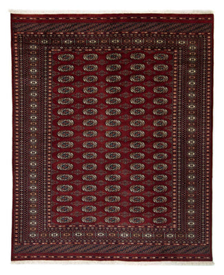 Alfombra afgana - Bukhara - 244 x 198 cm - rojo