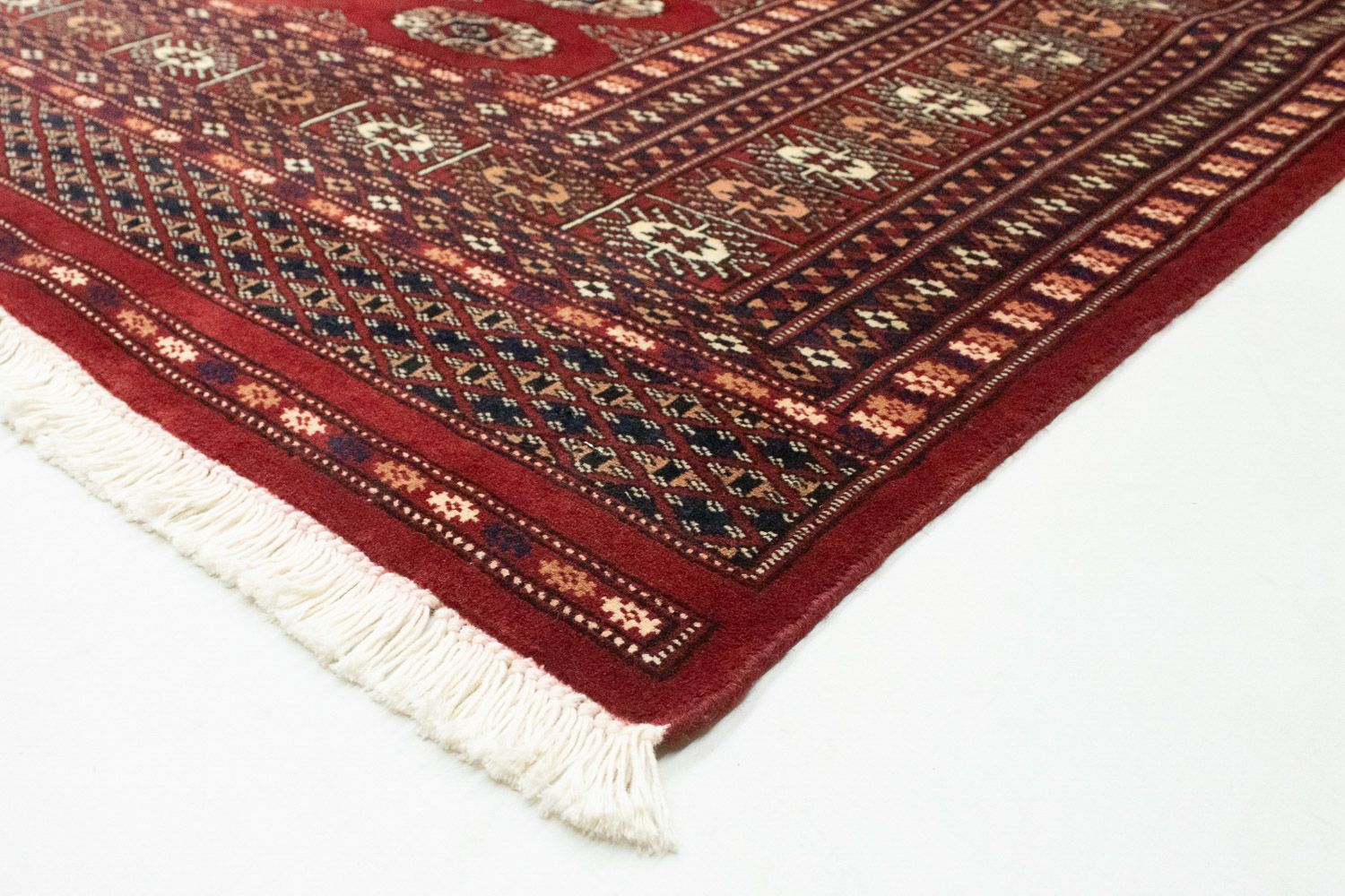 Alfombra afgana - Bukhara - 244 x 198 cm - rojo