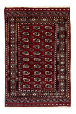 Alfombra afgana - Bukhara - 186 x 121 cm - rojo