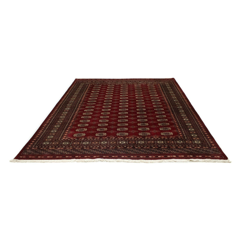 Alfombra afgana - Bukhara - 247 x 201 cm - rojo