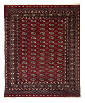 Alfombra afgana - Bukhara - 241 x 197 cm - rojo