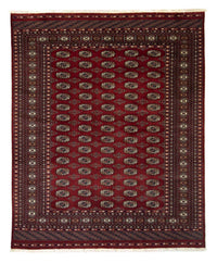 Alfombra afgana - Bukhara - 241 x 197 cm - rojo