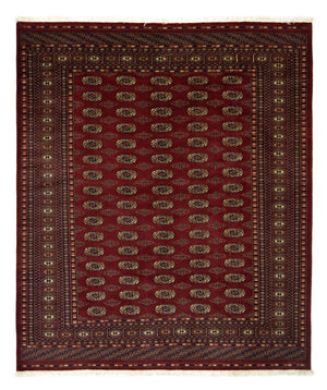 Alfombra afgana - Bukhara - 240 x 203 cm - rojo