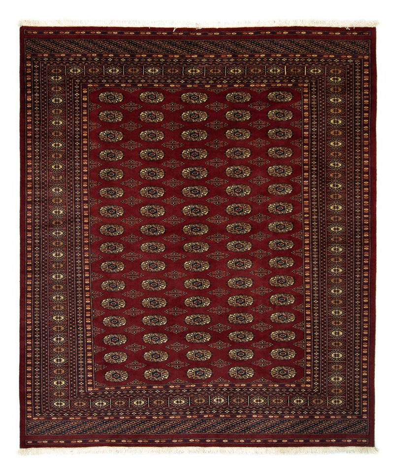 Alfombra afgana - Bukhara - 240 x 203 cm - rojo