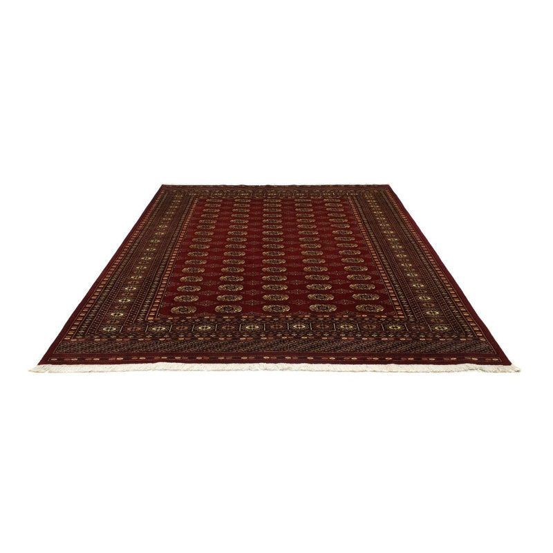 Alfombra afgana - Bukhara - 240 x 203 cm - rojo