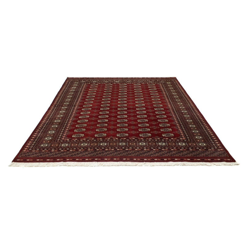Alfombra afgana - Bukhara - 238 x 200 cm - rojo