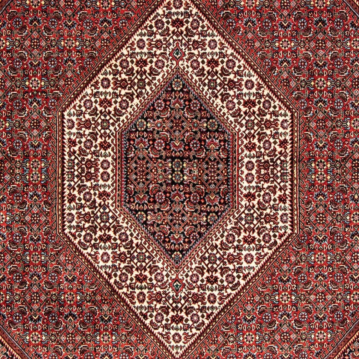 Alfombra persa - Bidjar - 239 x 166 cm - multicolor