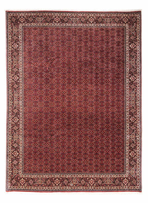 Alfombra persa - Bidjar - 350 x 252 cm - rojo