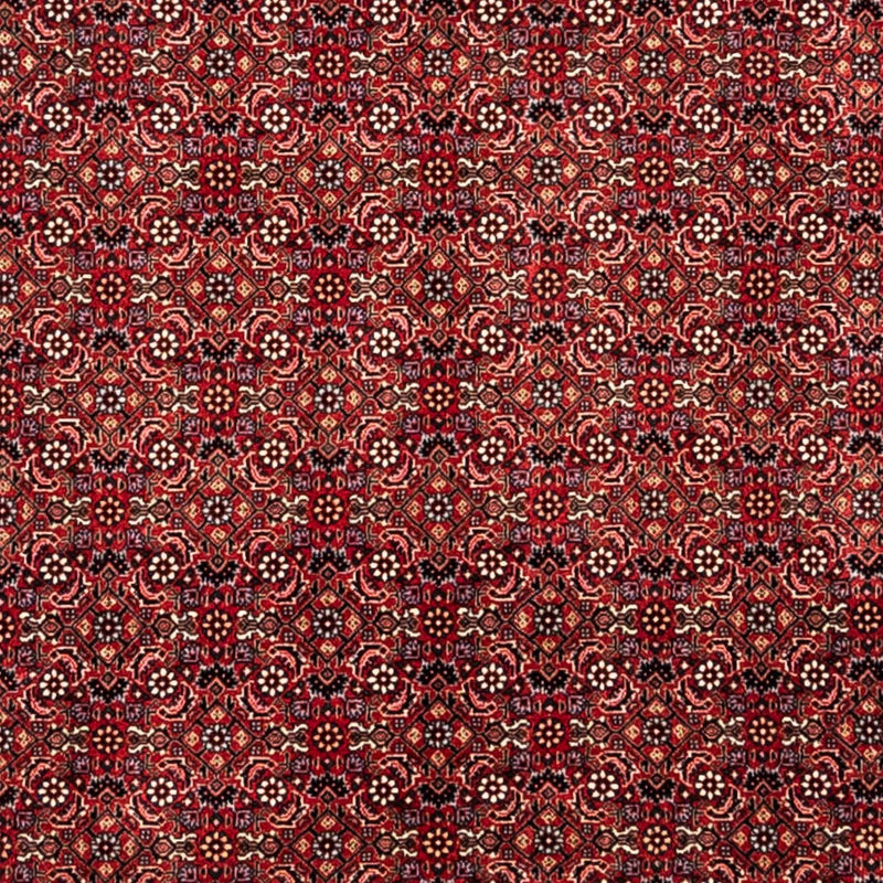 Alfombra persa - Bidjar - 350 x 252 cm - rojo