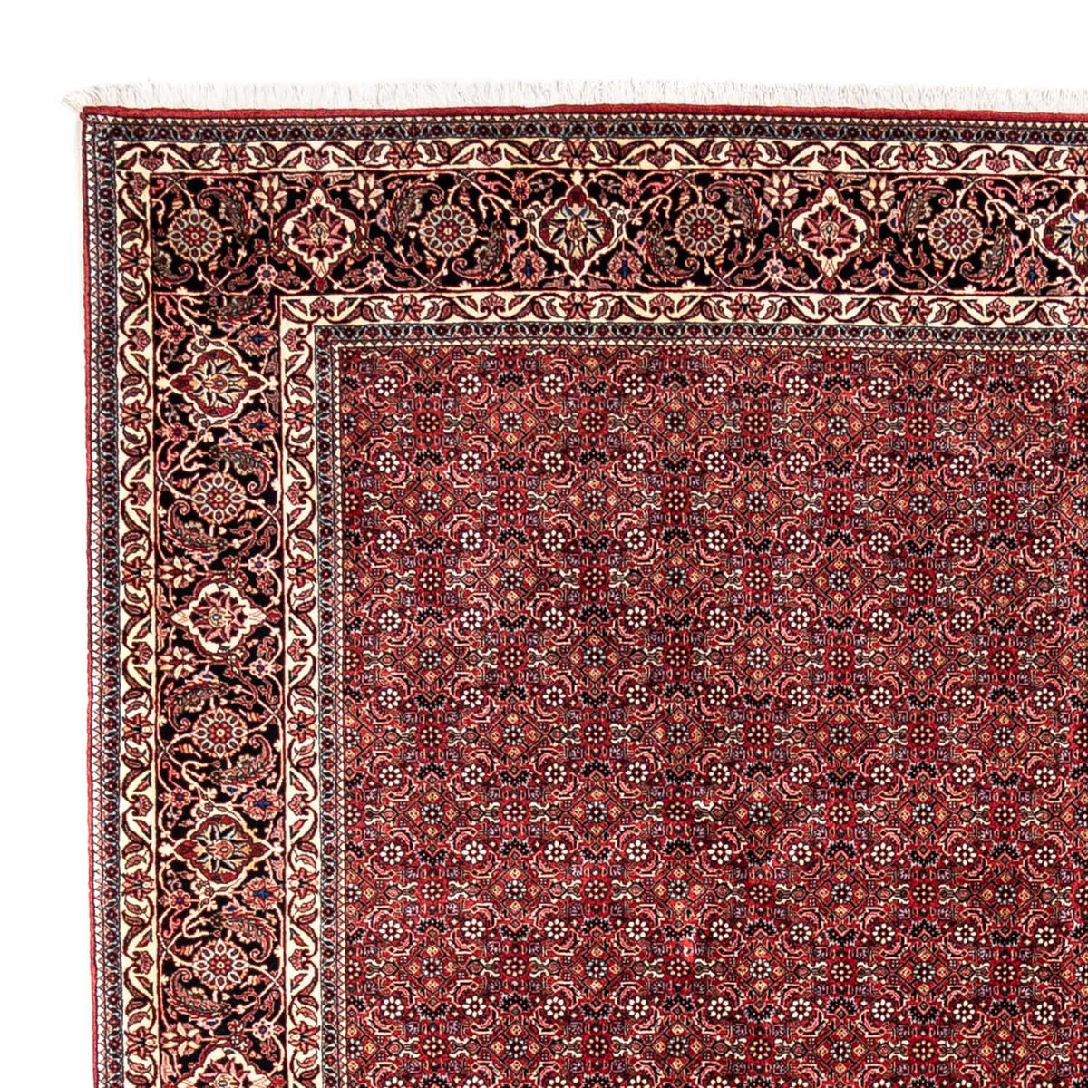 Alfombra persa - Bidjar - 350 x 252 cm - rojo