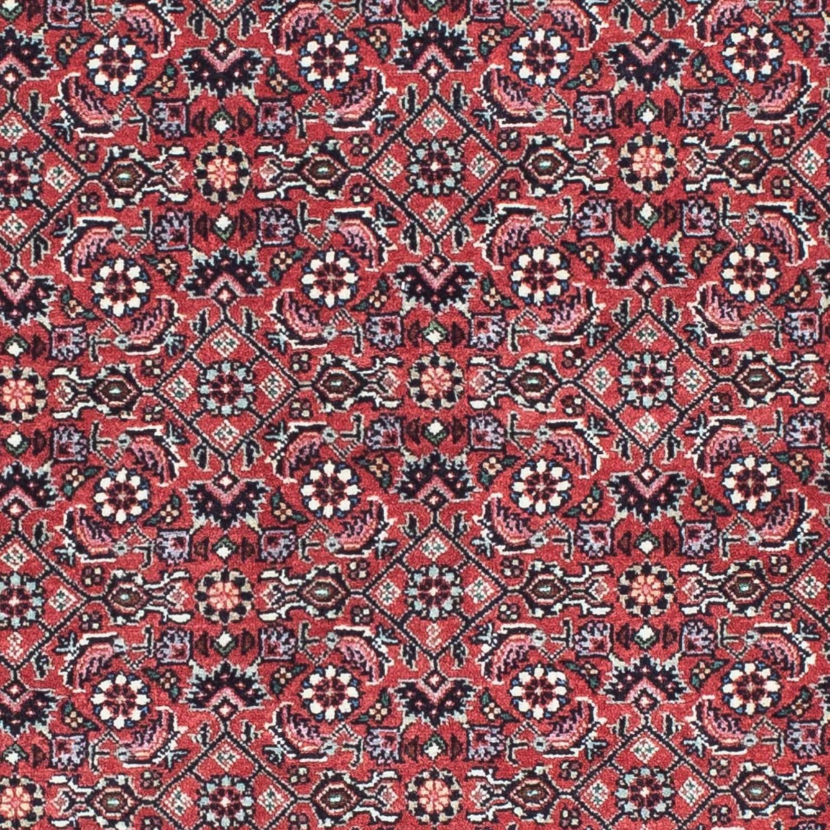 Alfombra de pasillo Alfombra persa - Bidjar - 193 x 76 cm - rojo