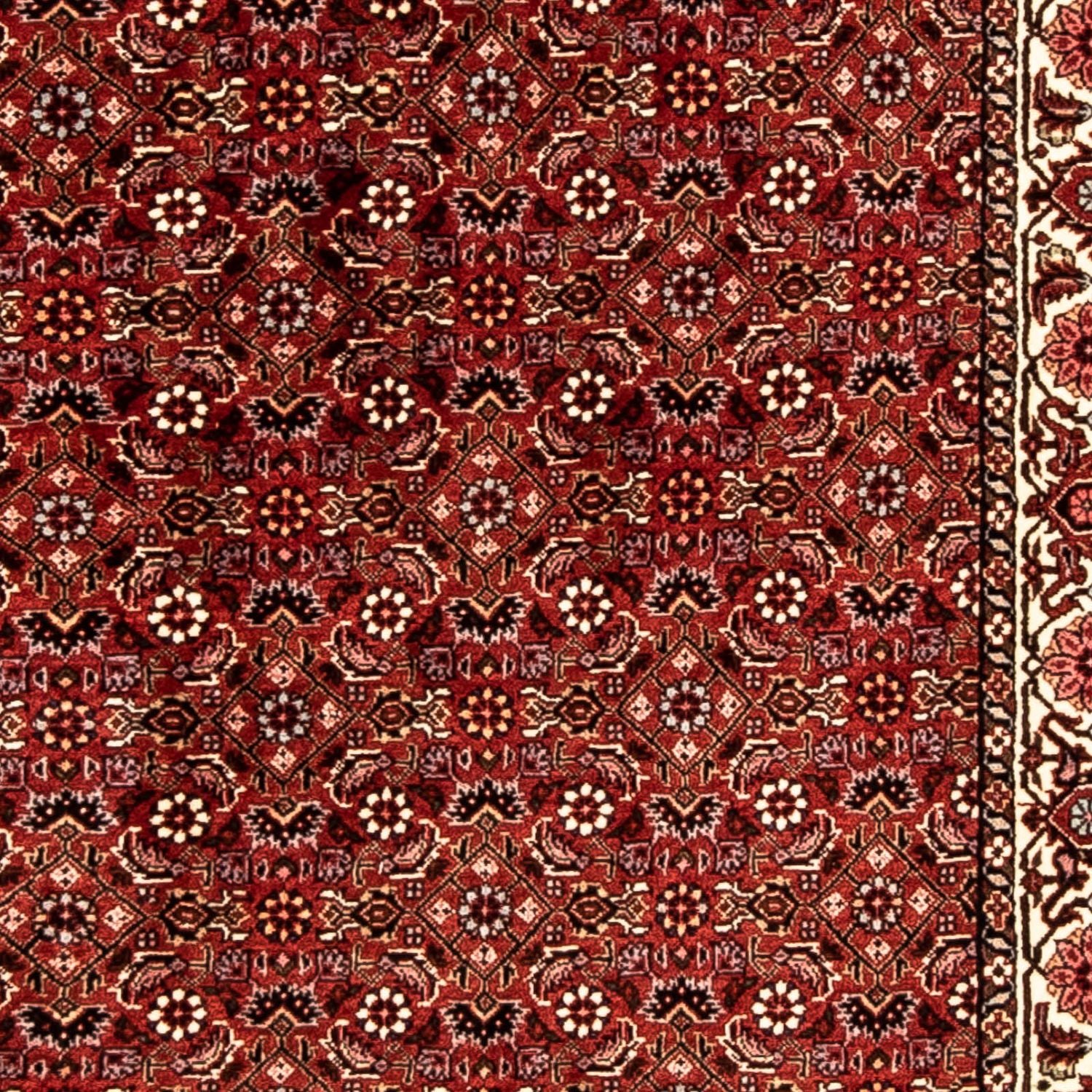 Alfombra de pasillo Alfombra persa - Bidjar - 296 x 82 cm - rojo oscuro