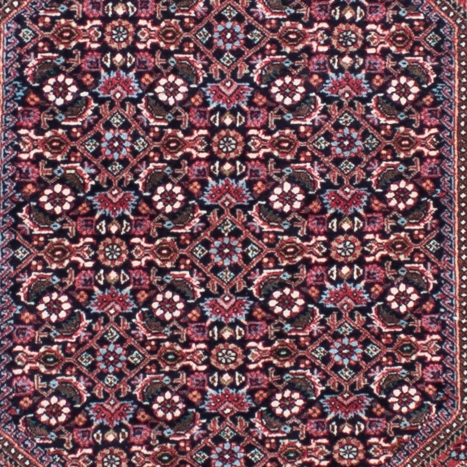 Alfombra de pasillo Alfombra persa - Bidjar - 279 x 73 cm - rojo claro