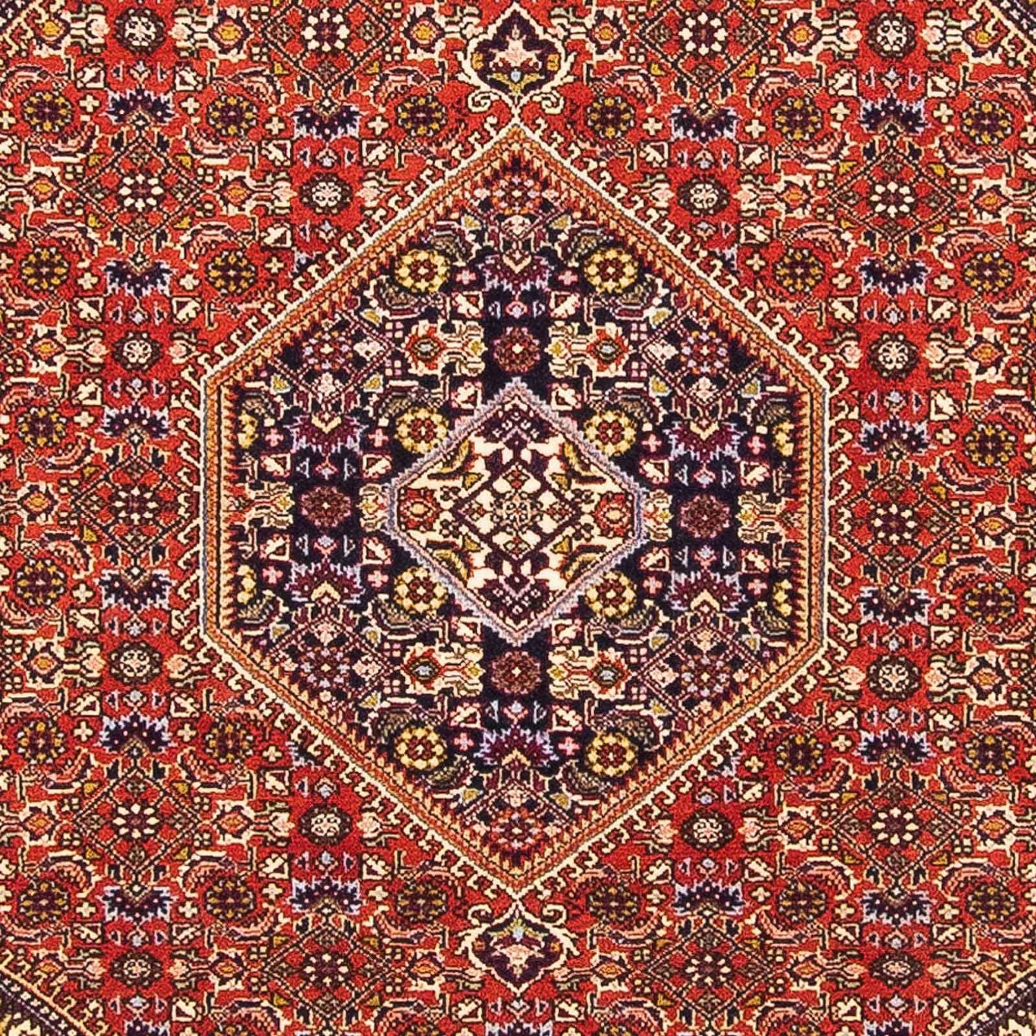 Alfombra persa - Bidjar - 154 x 106 cm - rojo