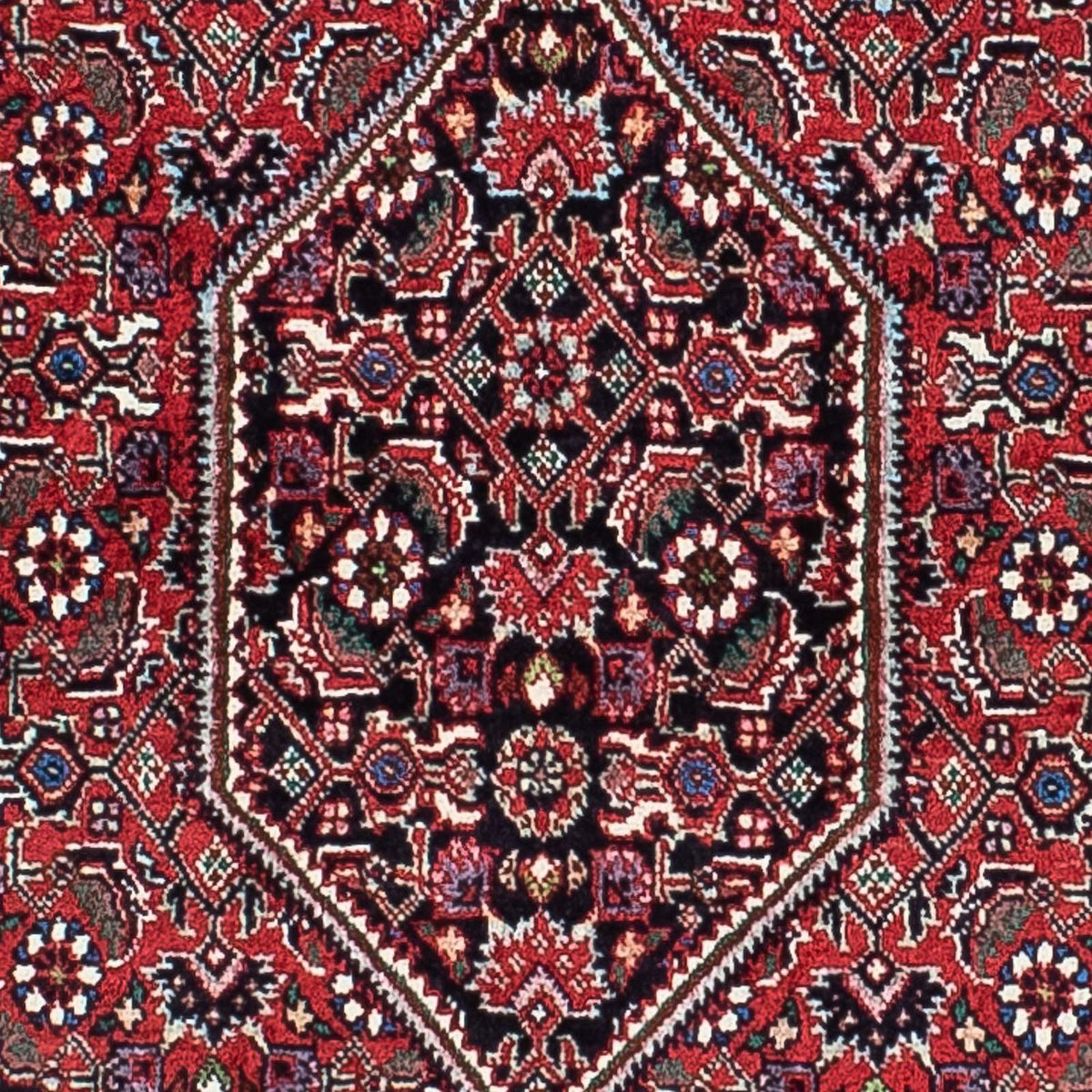 Alfombra persa - Bidjar - 205 x 131 cm - rojo claro