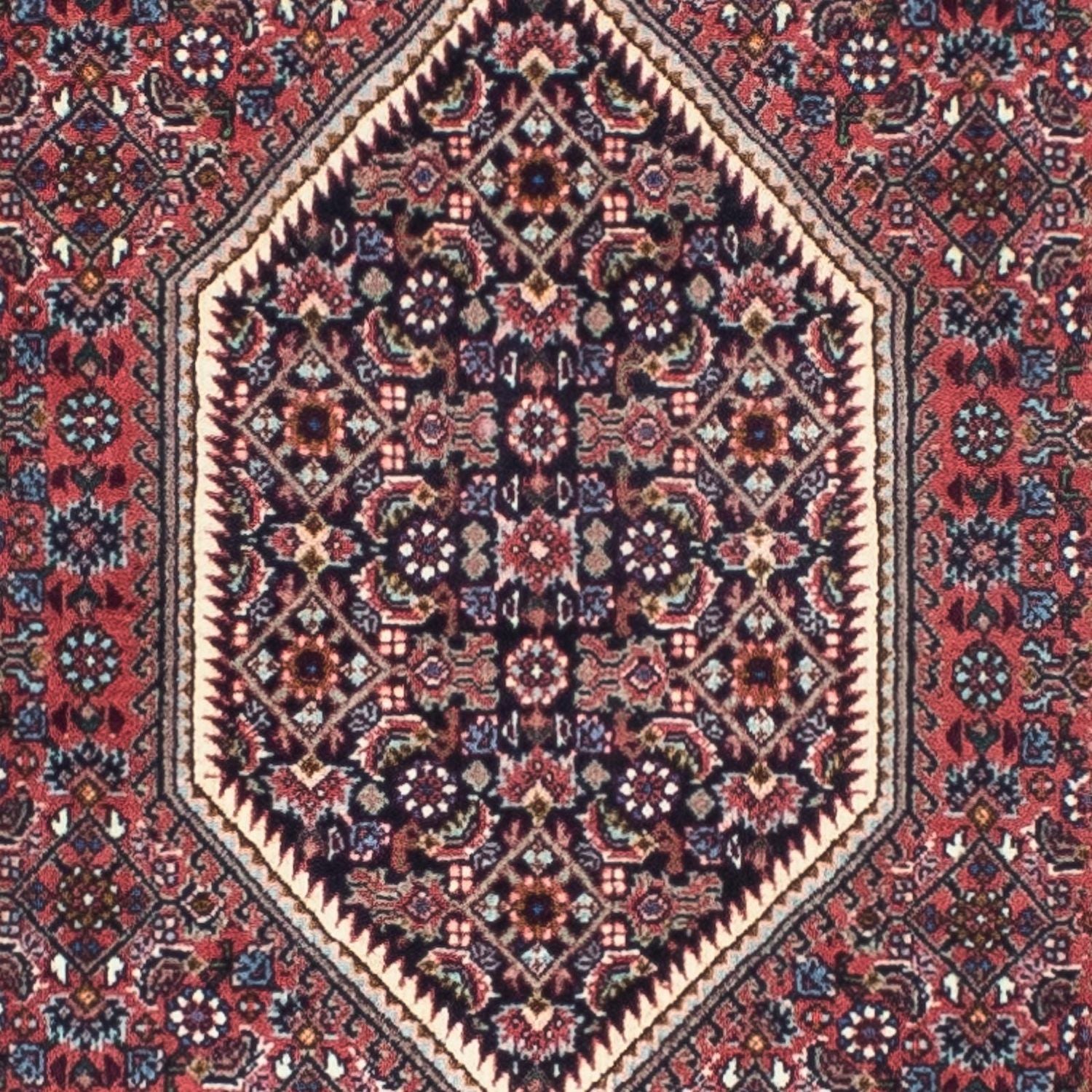 Alfombra de pasillo Alfombra persa - Bidjar - 245 x 74 cm - rojo claro
