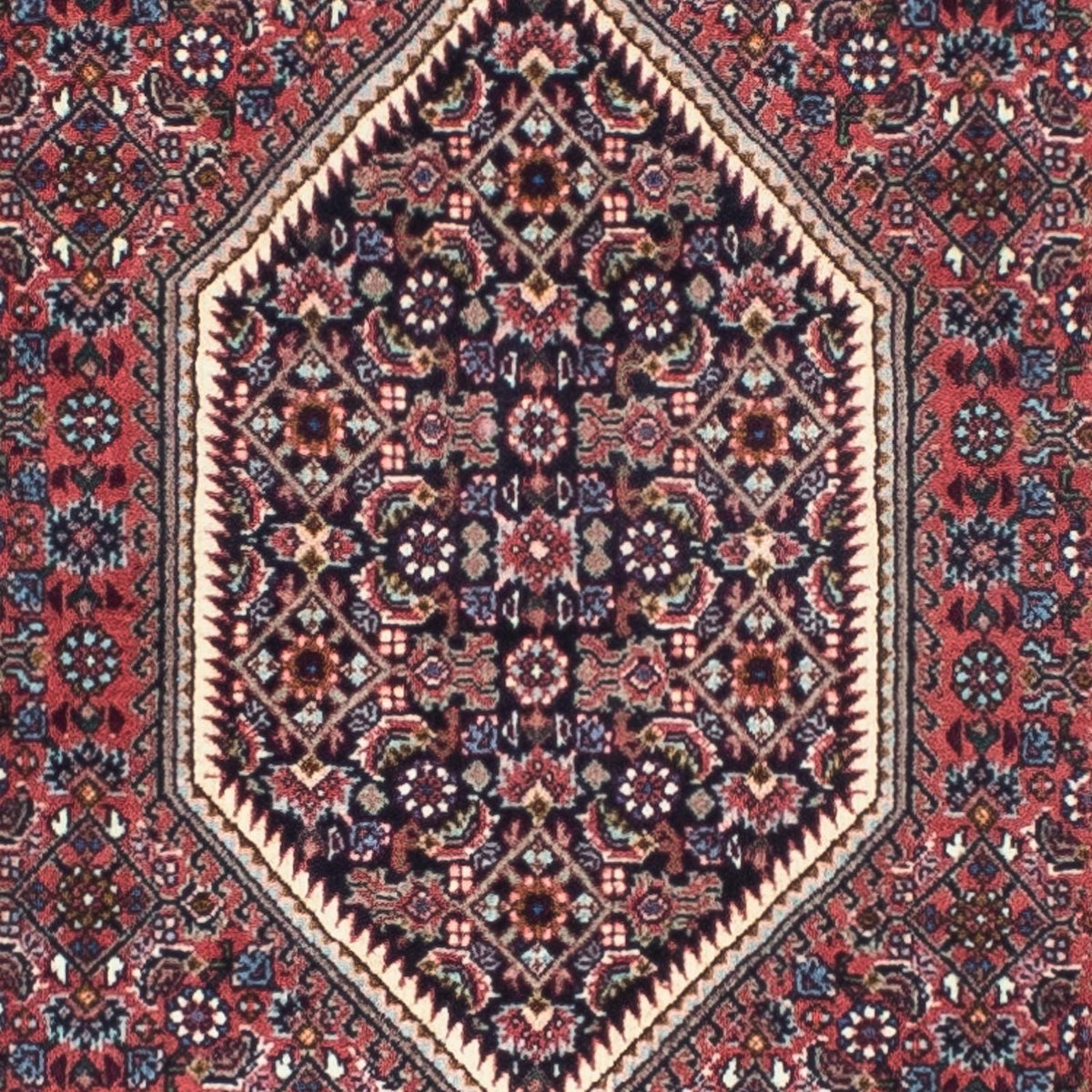 Alfombra de pasillo Alfombra persa - Bidjar - 245 x 74 cm - rojo claro