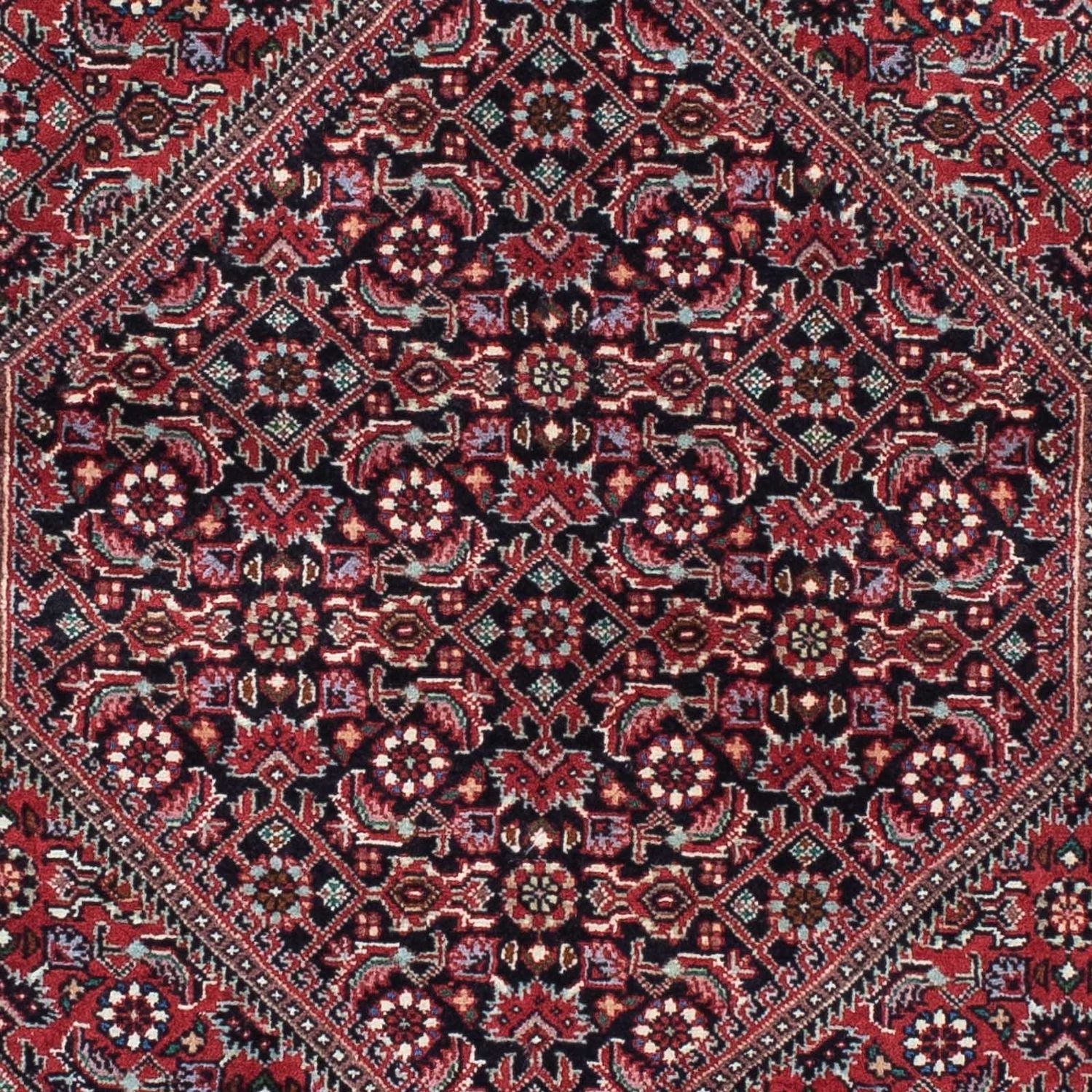 Alfombra de pasillo Alfombra persa - Bidjar - 212 x 74 cm - rojo oscuro