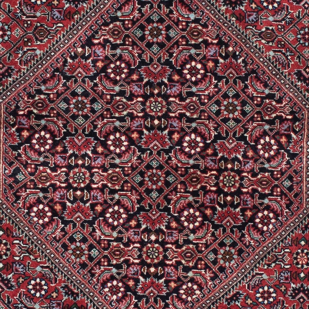 Alfombra de pasillo Alfombra persa - Bidjar - 212 x 74 cm - rojo oscuro