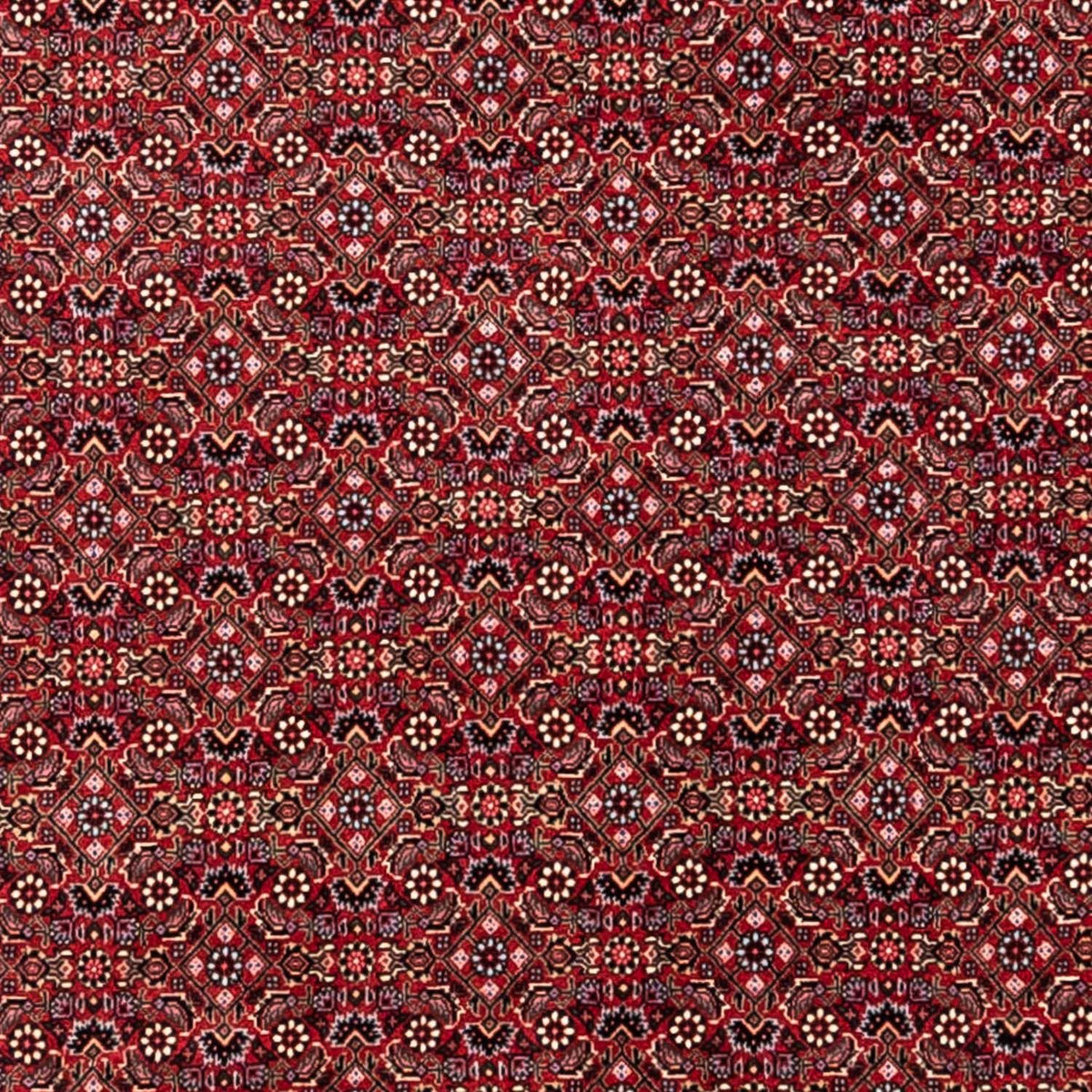 Alfombra persa - Bidjar - 338 x 252 cm - rojo