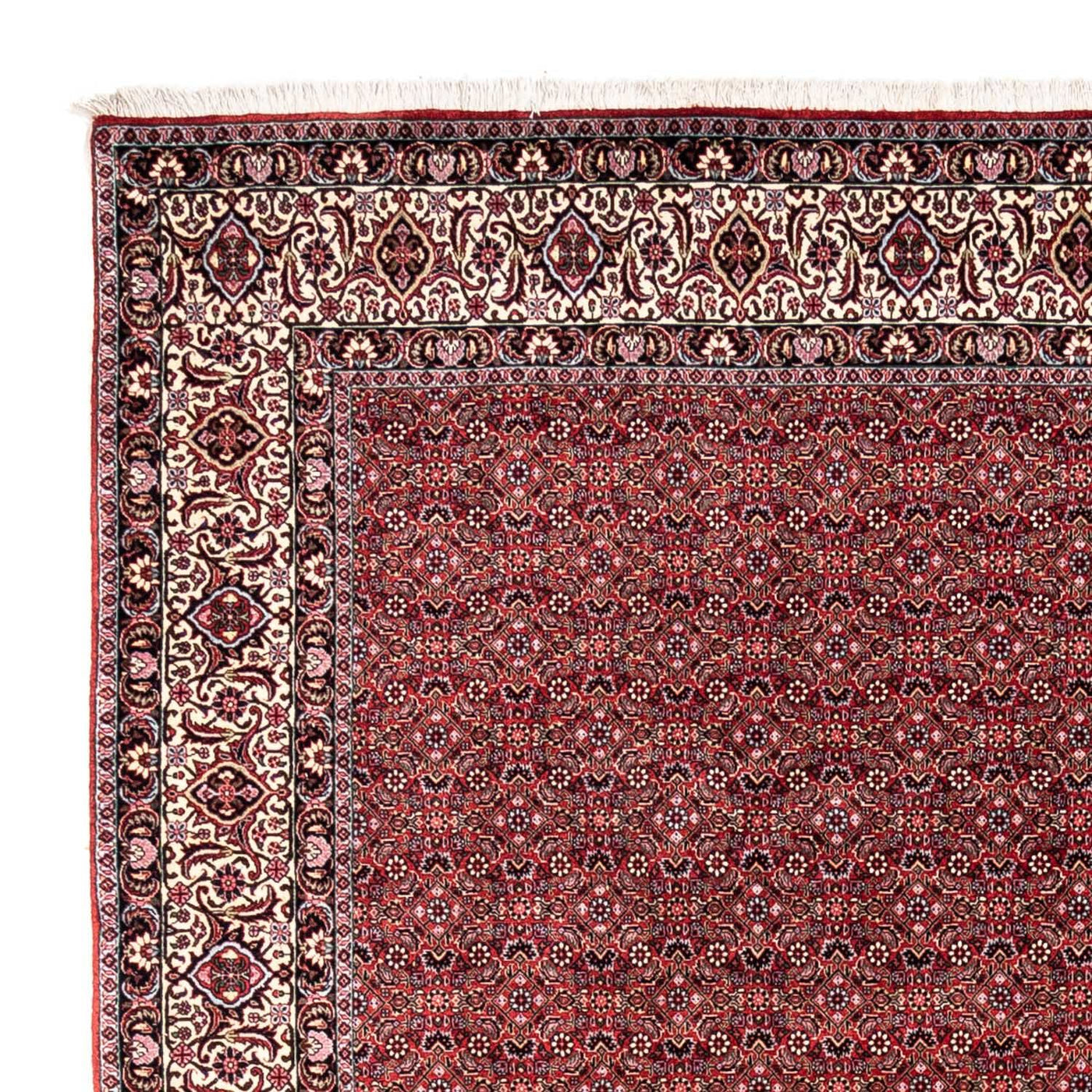 Bidjar - Takab Alfombra 338x252cm - Alfombra persa